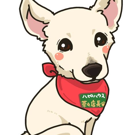 ちゃちゃ店長白